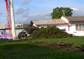 Rekonstrukce trávníku na Vinici