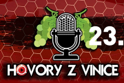 Trenéra intenzivně hledáme, řekl v podcastu Vít Zavřel